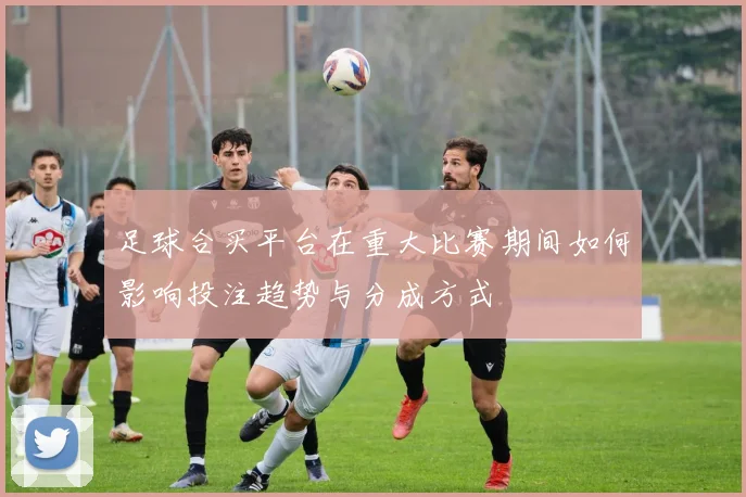 足球合买平台在重大比赛期间如何影响投注趋势与分成方式