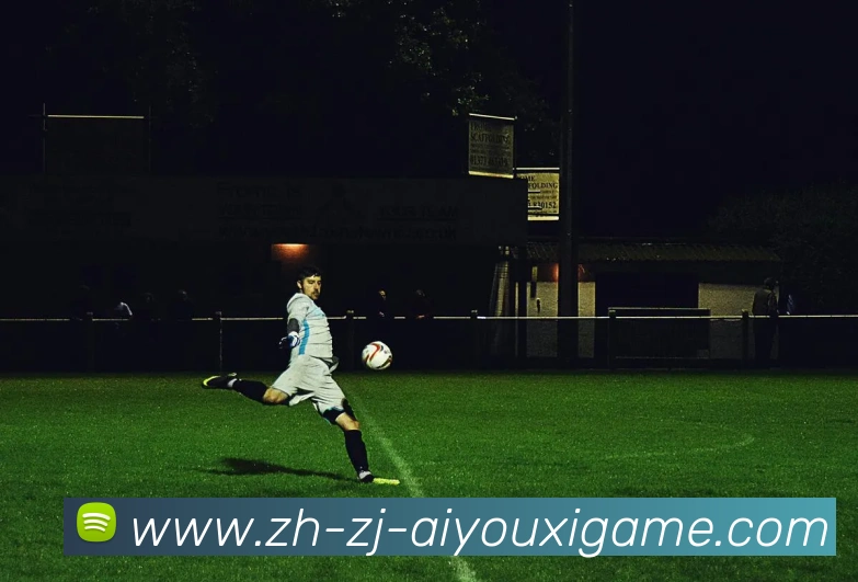 爱游戏平台生态图